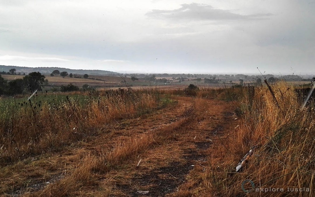 Pioggia estiva nella Tuscia