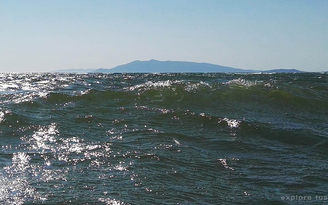 Sensazioni di mare