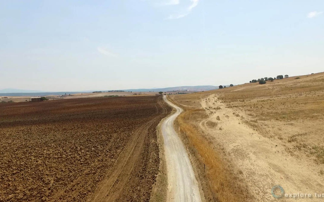 Terre di Sole