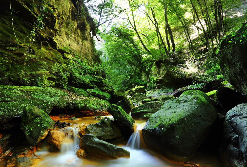Le forre della Tuscia – ambienti fragili