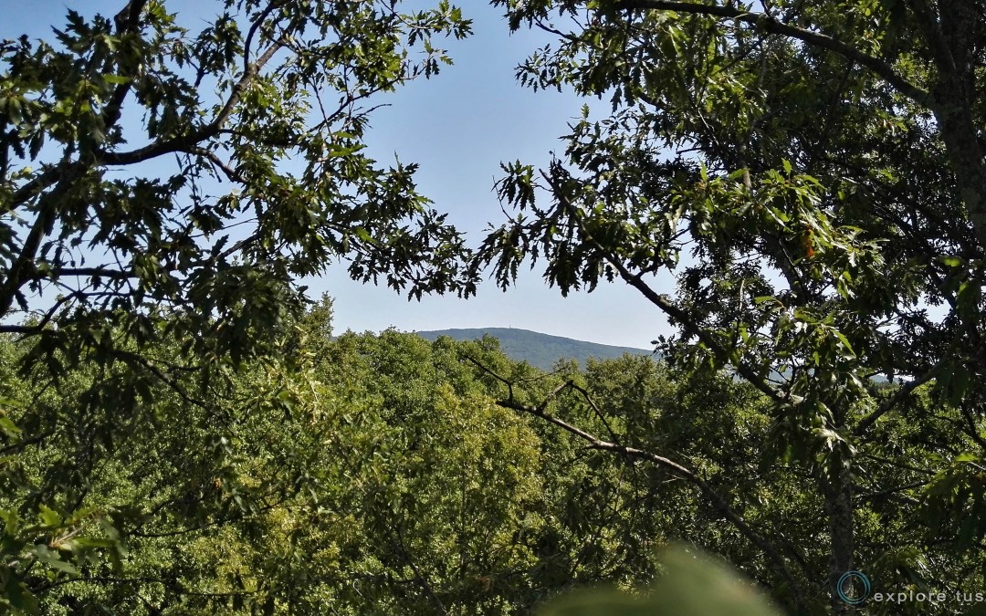 Il Monte Fogliano Sorge