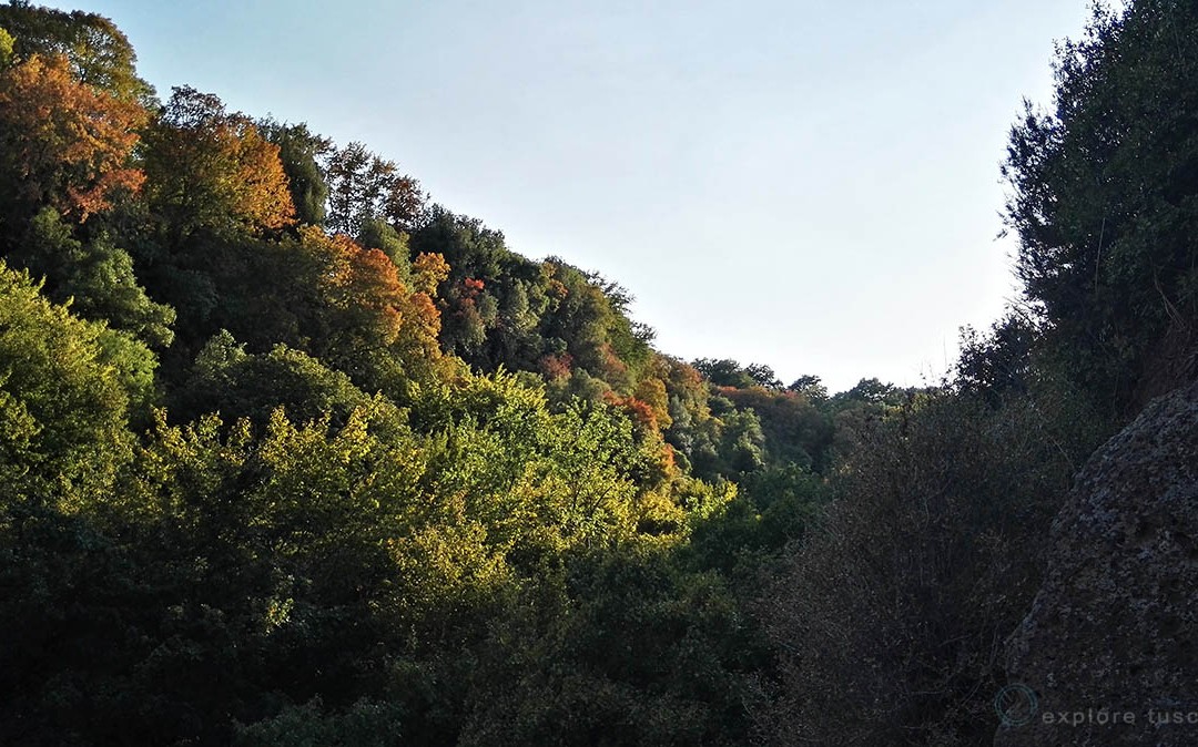 Marturanum soffre