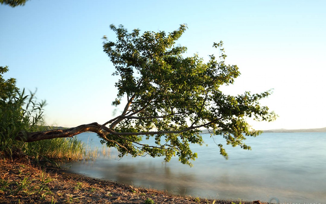 Bolsena – pausa