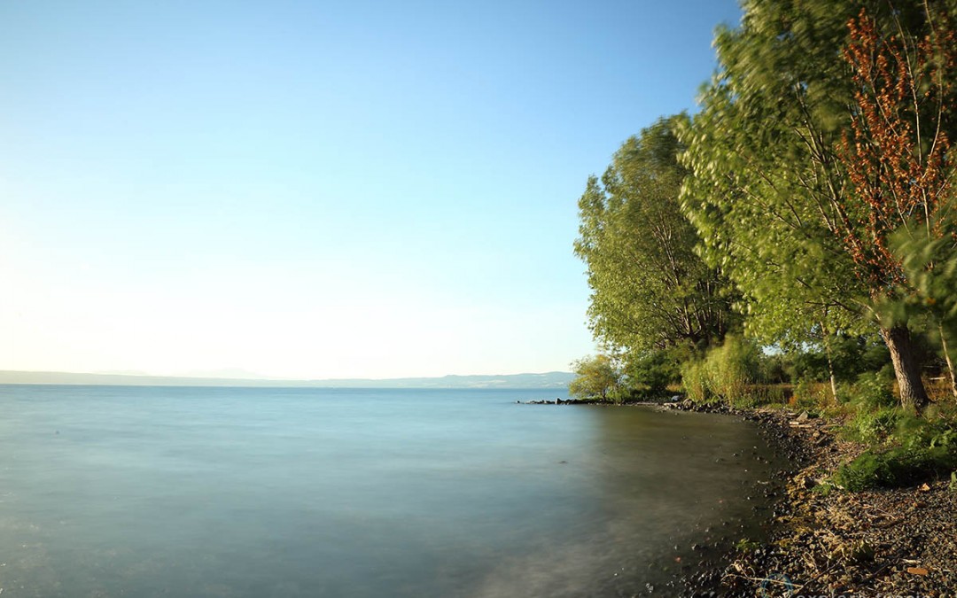 Il Sogno – contemplazione al lago di Bolsena