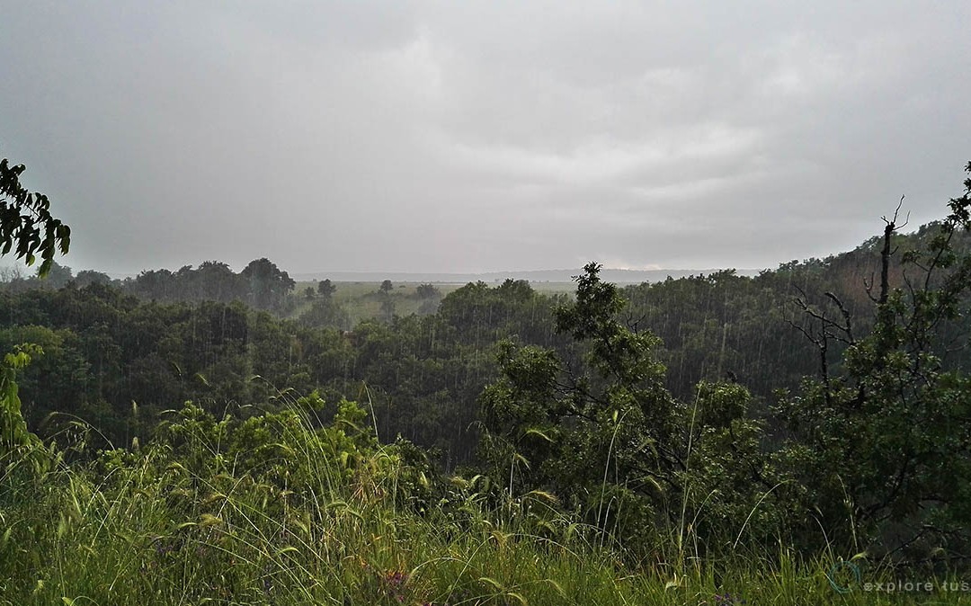 Norchia – tropical rain