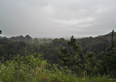 norchia-rain-tropical