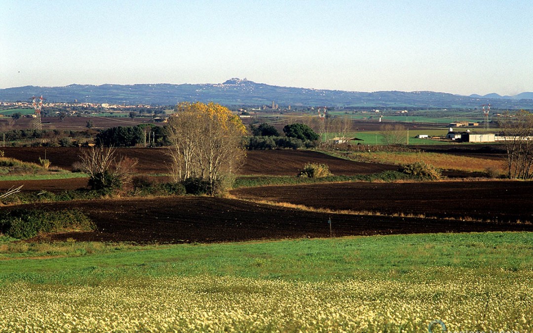 La Tuscia nel Passato – recente – 2