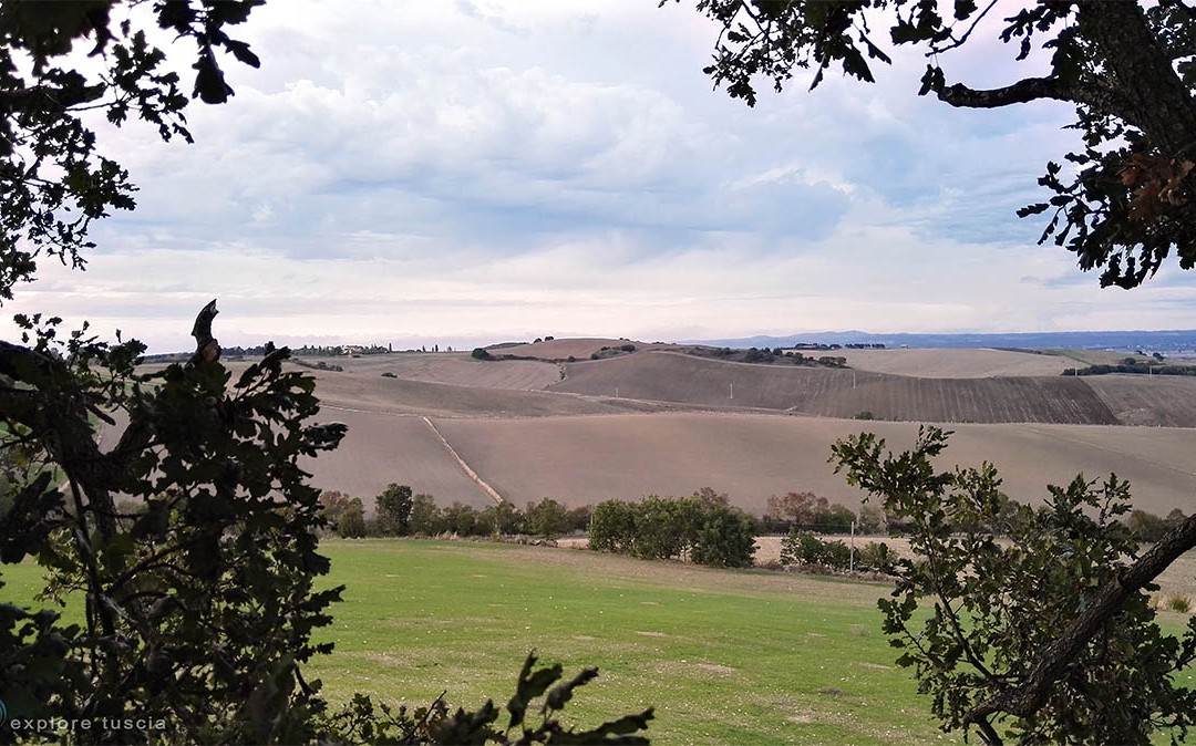 Il paesaggio in via di estizione