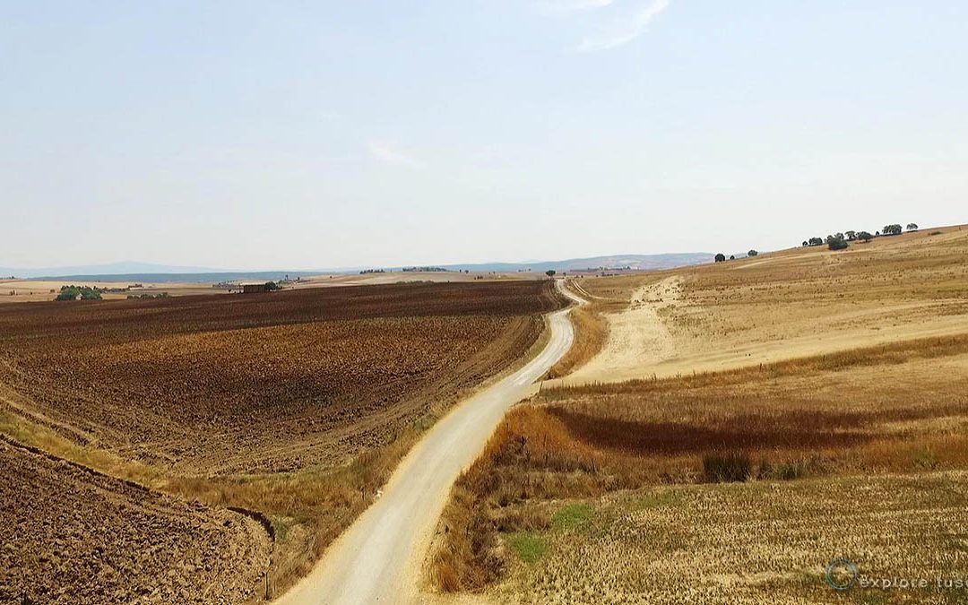 Paesaggi del grano – ricordi d’estate