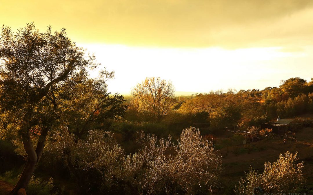 Vedutismo – paesaggio di bronzo