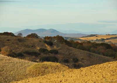 un-parco-agricolo-per-la-tuscia-i