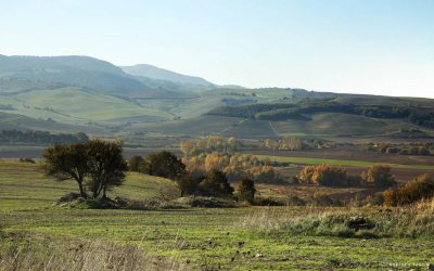 La valle del Mignone – Rara Bellezza IV