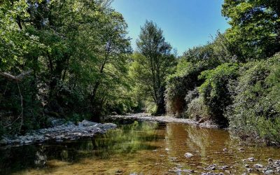 Torrente Vesca