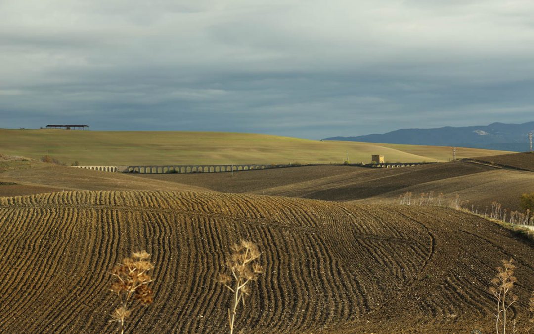 Un Parco Agricolo per la Tuscia VI