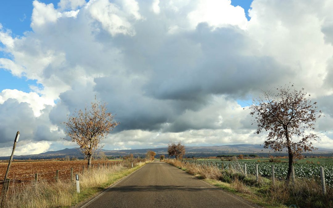 Road to Paradise