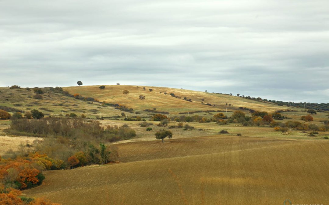Un Parco Agricolo per la Tuscia V