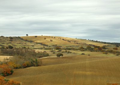 un-parco-agricolo-per-la-tuscia-V-12