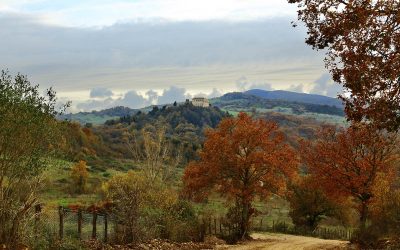 Monti della Tolfa! Incontro con Rota