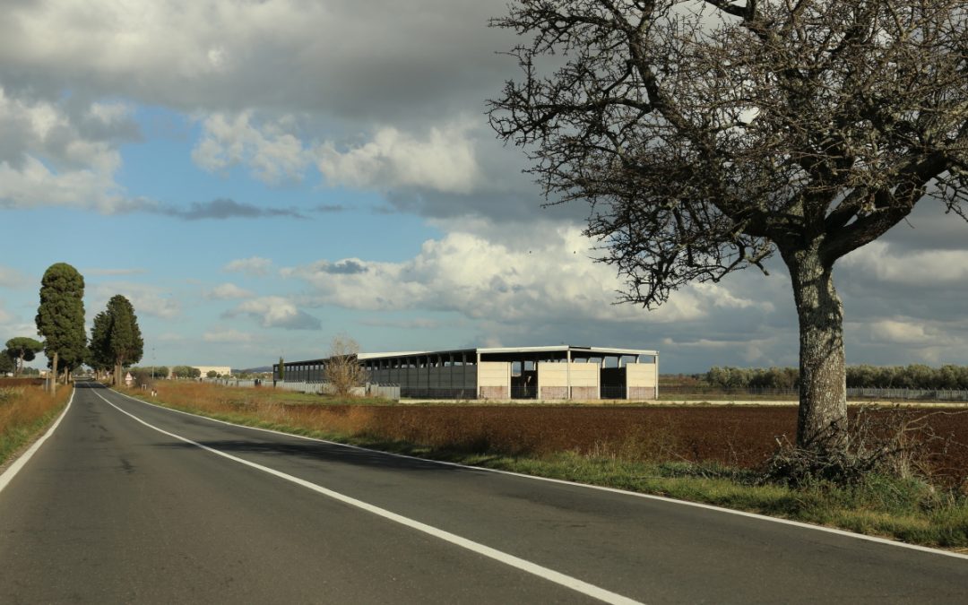 Paesaggi Rurali Industriallizzati.