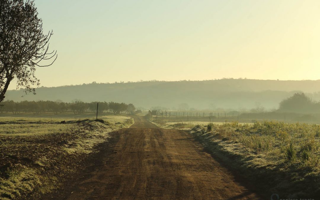 Agriturismo “Il Pesticida”