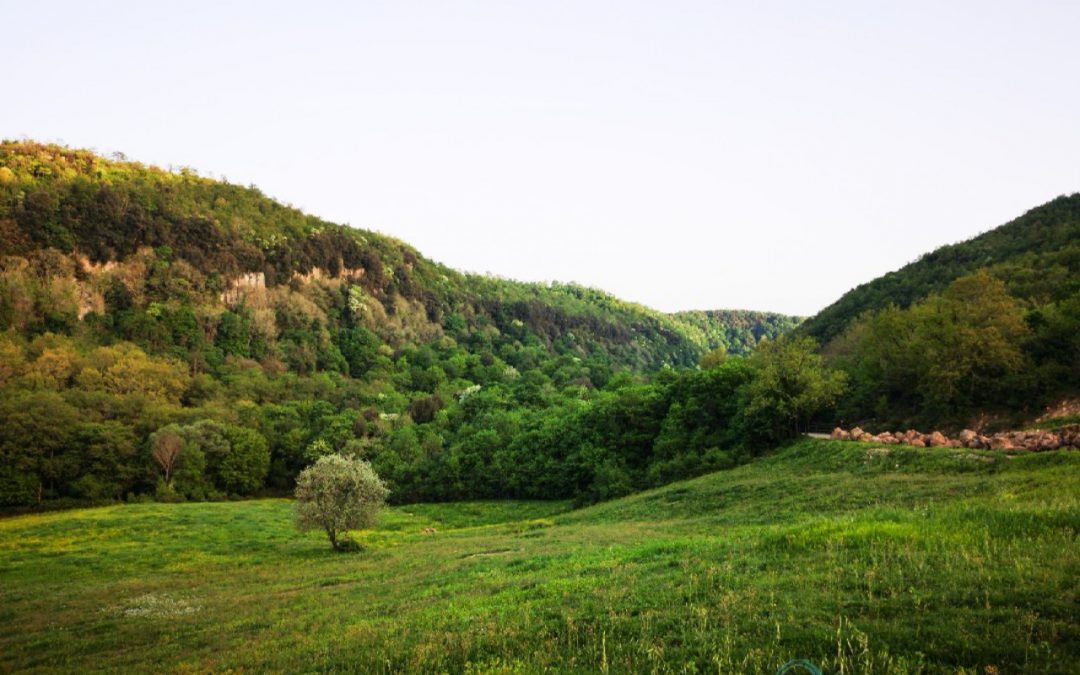 La Valle del Mignone e i Monti della Tolfa – Una superstrada in zona protetta non si fa! Punto!