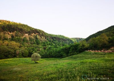 valle-del-mignone-sl