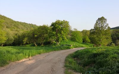 Strada Panoramica