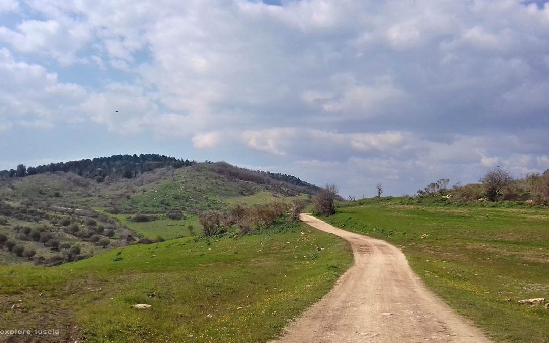 Verde Colline di Monte Romano