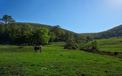 Monti dellaTolfa- Paese di Cuccagna