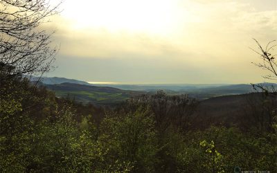 Tuscia