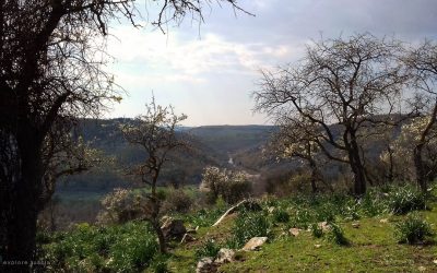 La valle del Mignone – tratto Monte Romano