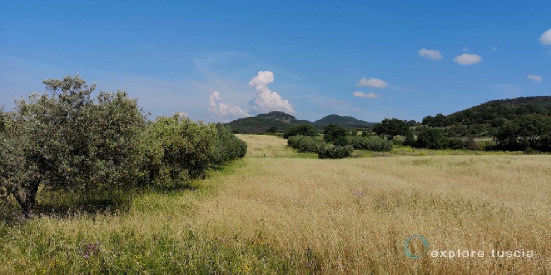 Cerveteri – Tolfa Sud