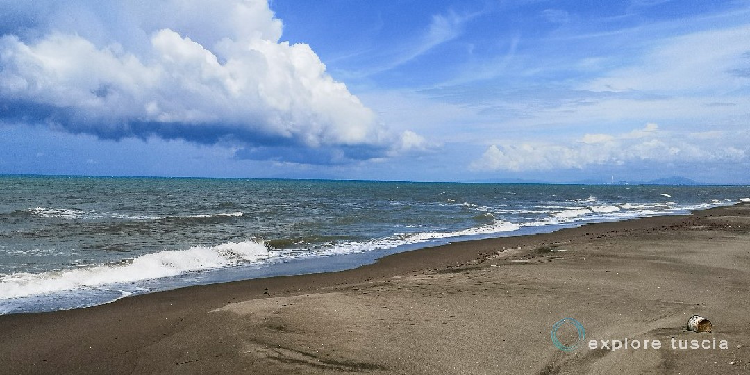 Mare