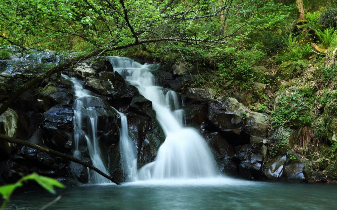 Il Rumore dell’Acqua