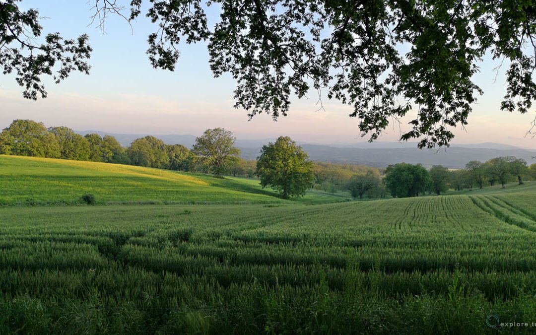L’Ultimo Campo
