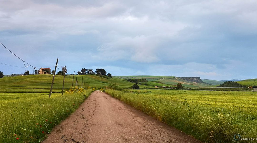Tarquinia – In attesa del biogas ?