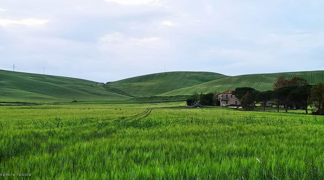 La Valle del Mignone – Viaggio