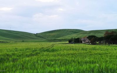 La Valle del Mignone – Viaggio