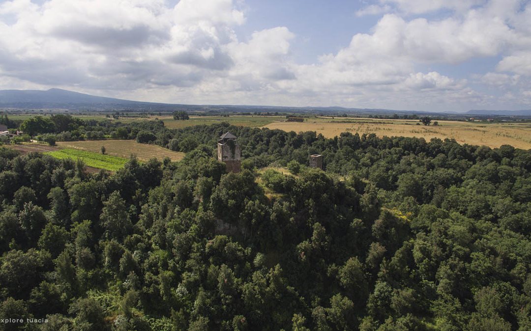 Castel d’Asso – Fly