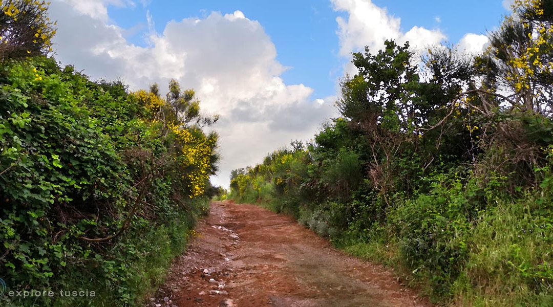 Le Strade del Tufo