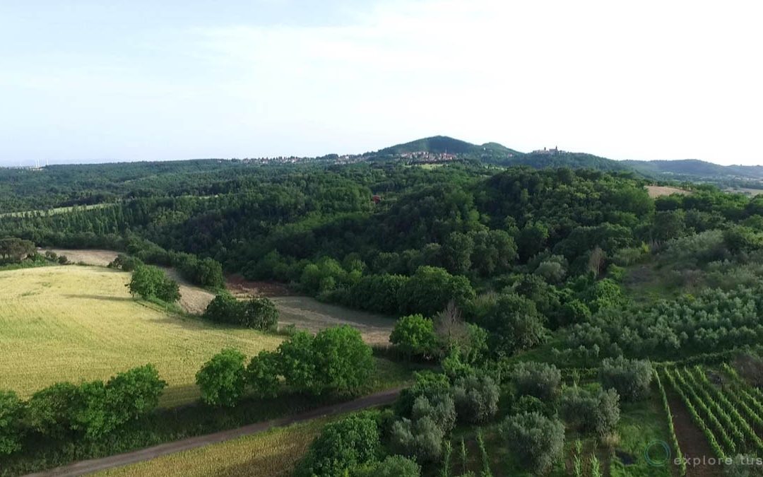 Valentano – la Montagna Verde