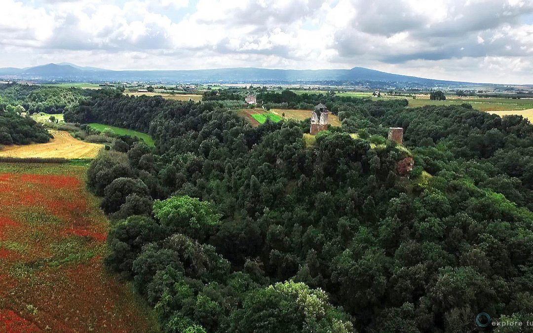 Castel d’asso – medievale in Context