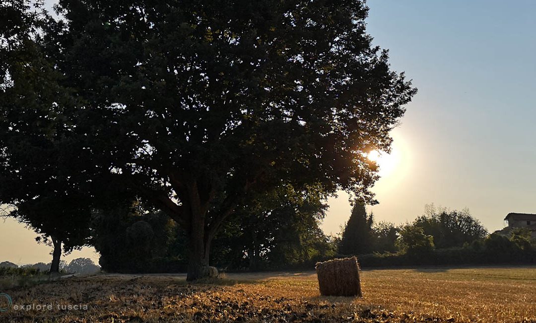 Campagna d’Epoca – Frammenti