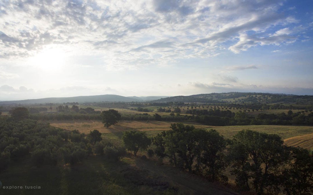 La Tuscia si Sveglia (?)