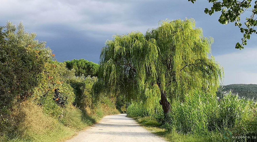 Lago di Bolsena – tropici