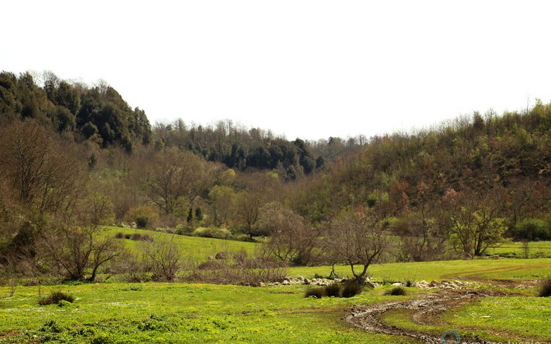 Necropoli del Ferrone – Angolo di Paradiso