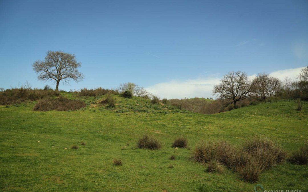 Il Ferrone – Paesaggio Insolito.