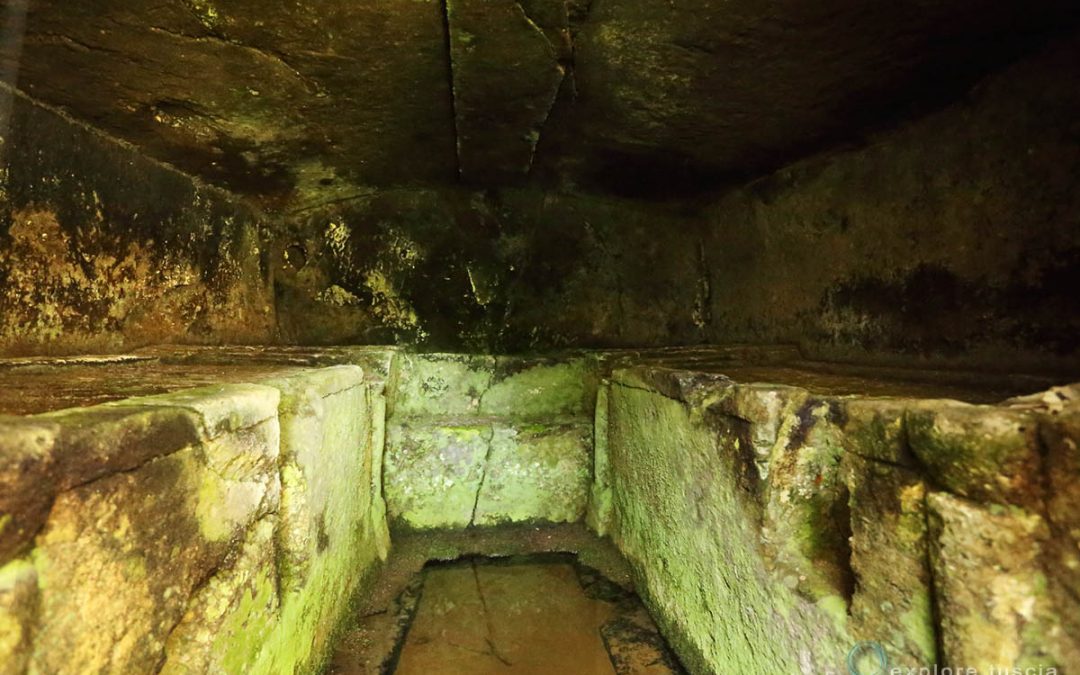 Necropoli del Ferrone – Etrusco!