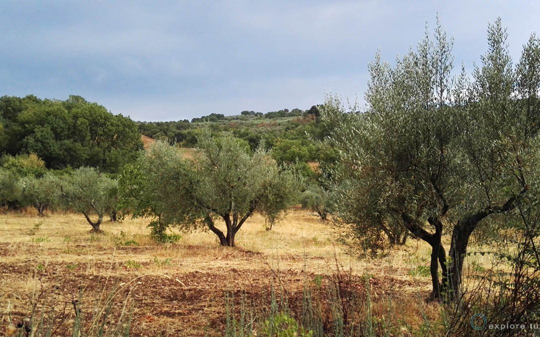 Istante Rurale