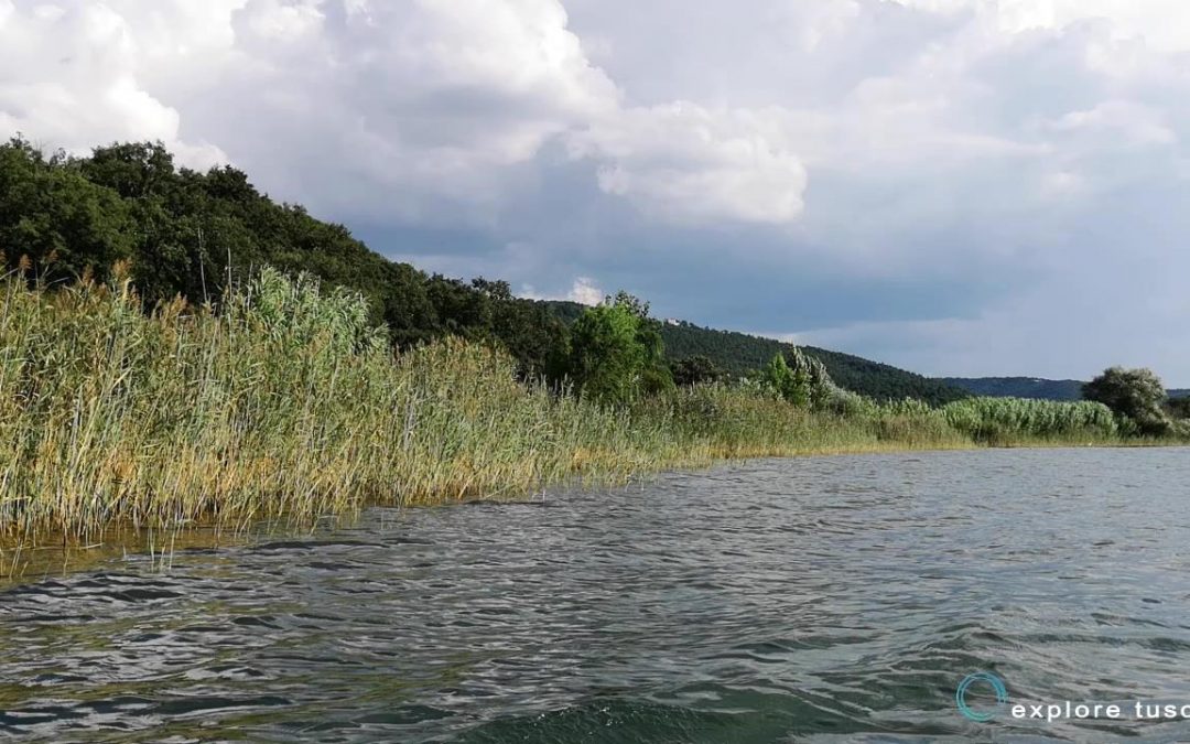 Lago di Bolsena – nature